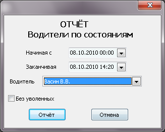 Форма ввода параметров отчета перед его выводом.