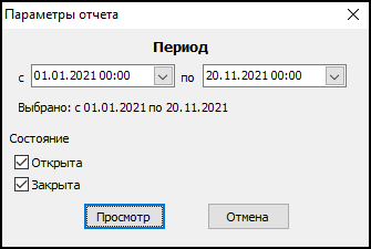 Форма ввода параметров отчета перед его выводом.