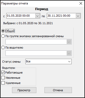 Форма ввода параметров отчета перед его выводом.