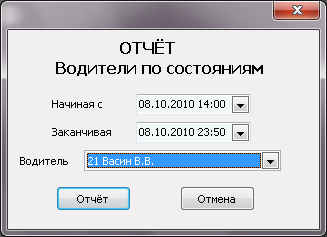 Форма ввода параметров отчета перед его выводом.