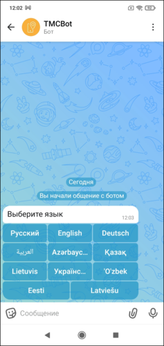 Выбор языка клиентский макс-бот.png